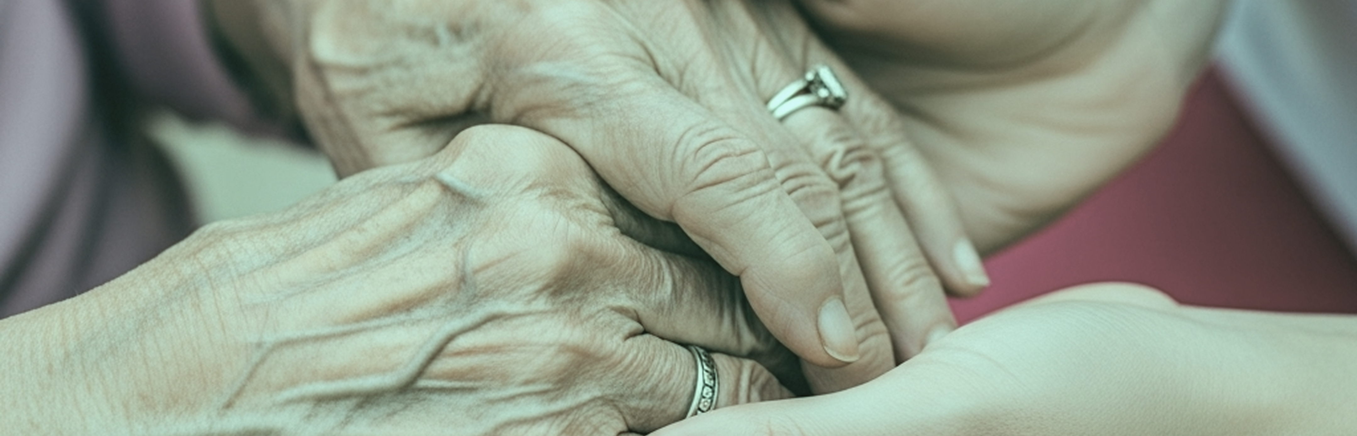 Request Free Assessment